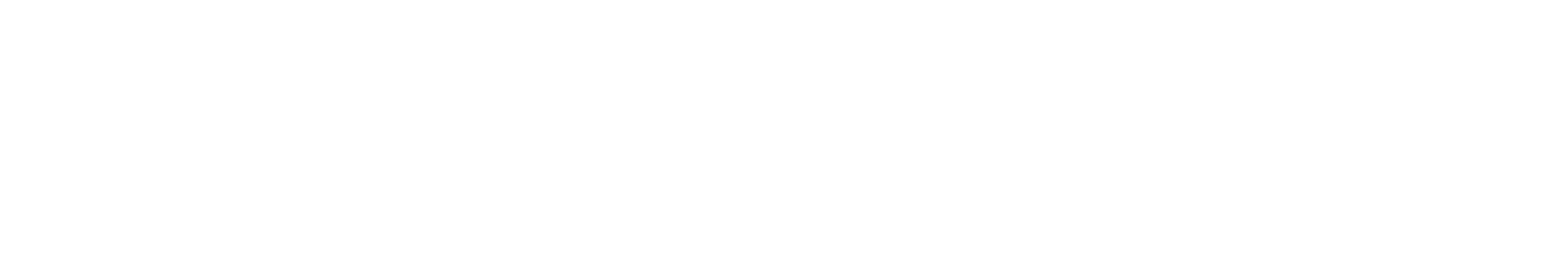 Northbridge AI